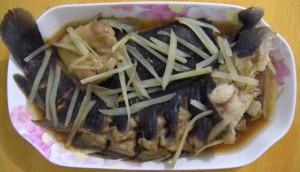 清蒸鲶鱼